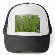 Fern Branch hats