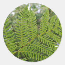 Fern Branch Stickers