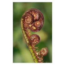 Fern buds personalized stationery