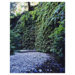Fern Canyon, Prairie Creek flyers