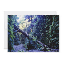 Fern Canyon, Prairie Creek Personalized Invitation