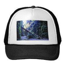 Fern Canyon, Prairie Creek Trucker Hat