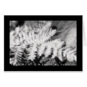 Fern cards