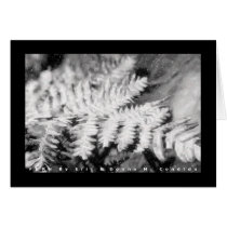 Fern cards by creativeworks Fern cards