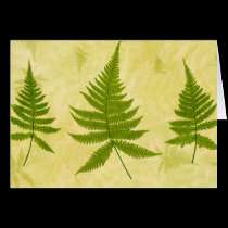Fern cards