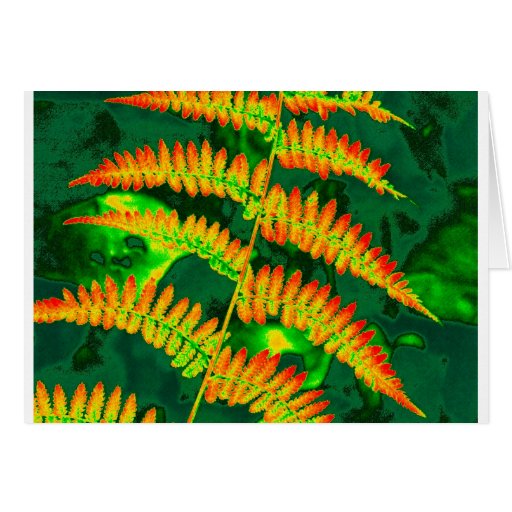 Fern Card