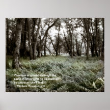 Fern Field in a Floodplain Forest: Quote Poster
