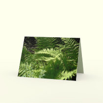 Fern Flurry cards by MoiraAshleigh Fern Flurry cards
