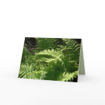 Fern Flurry Greeting Cards