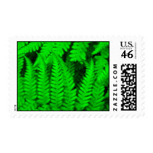 Fern Forest Stamp