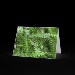 Fern Fronds Card
