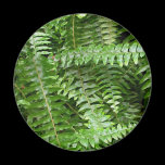 Fern Fronds Magnet
