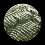 Fern Fronds Magnet