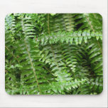 Fern Fronds Mousepad