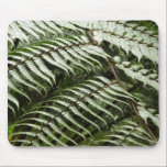 Fern Fronds Mousepad