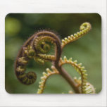 Fern Fronds Mousepads