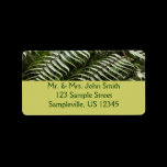 Fern Fronds Return Address Label