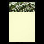 Fern Fronds Stationery