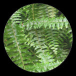 Fern Fronds Sticker