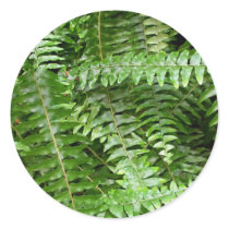Fern Fronds Sticker