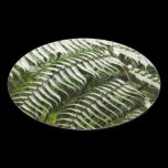 Fern Fronds Sticker