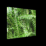 Fern Fronds Stretched Canvas Print