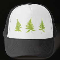 Fern hats