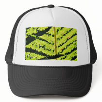 Fern hats