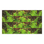 Fern Jungle Sticker
