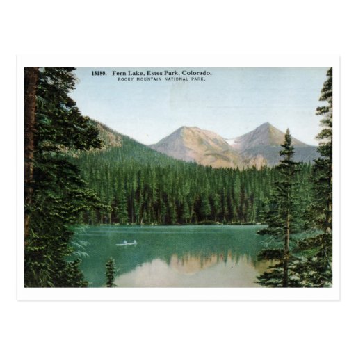Fern Lake, Estes Park, Colorado Vintage Postcard