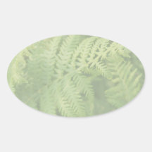 Fern Leaves, Light Green. Sticker