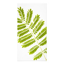 Fern leaves custom photo card