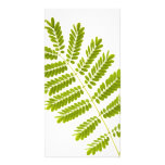 Fern leaves custom photo card