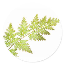 Fern leaves round sticker