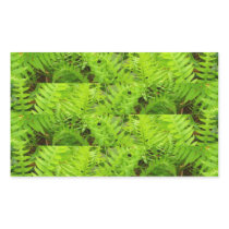 Fern Madness Rectangle Stickers