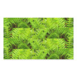 Fern Madness Rectangle Stickers