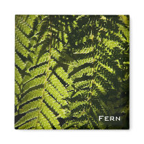 Fern • Magnet by SabineSt Fern • Magnet