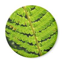 Fern magnets by AryadnaDesign Fern magnets