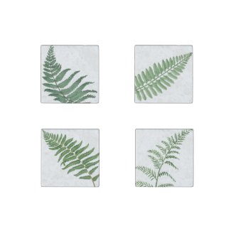 Fern - Magnets Stone Magnet