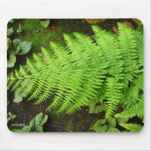 Fern Mousepad