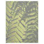 Fern • Personalized Letterhead