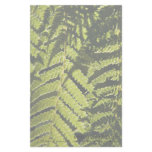 Fern • Personalized Stationery