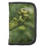 Fern planner folio