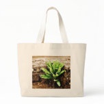 Fern Plant Growing From The Stone Wall bags