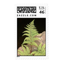 Fern post postage by CHOLOEPUS Fern post postage