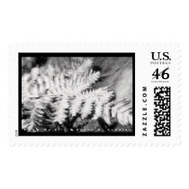 Fern postage