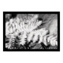 Fern posters
