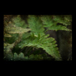 Fern posters