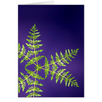 Fern Purple