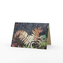 Fern Richness cards by MoiraAshleigh Fern Richness cards
